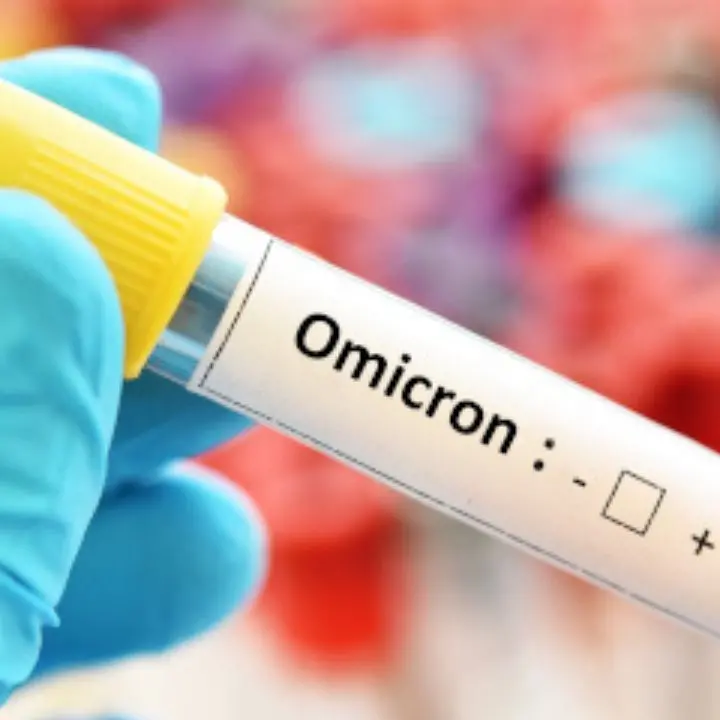 Iss: «Omicron in Italia al 100%, con sottovariante BA.5 predominante»