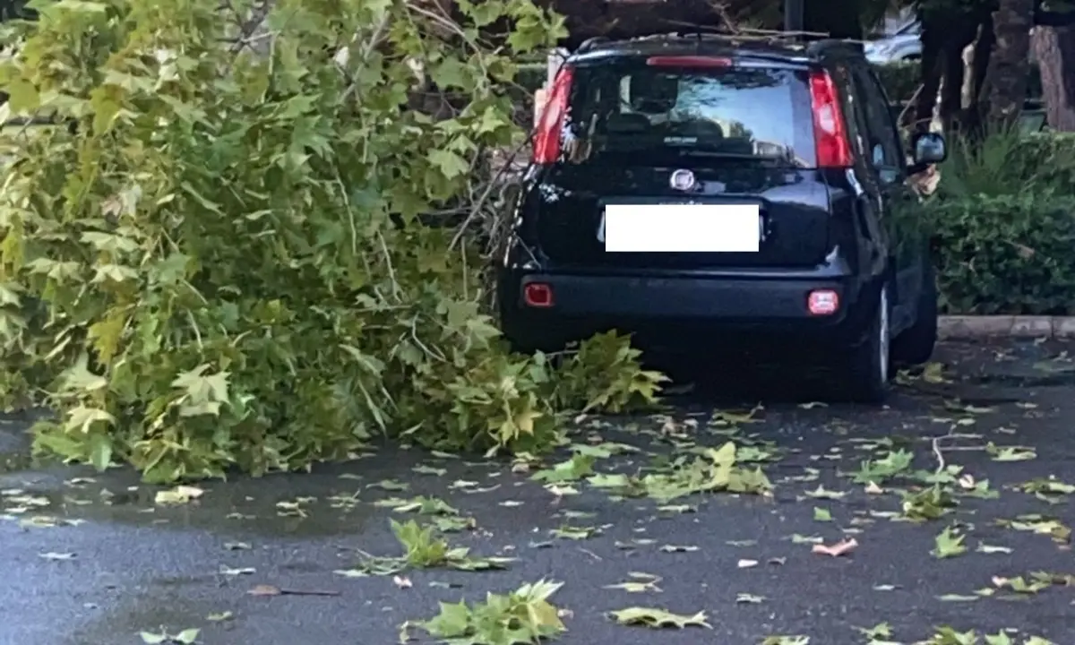 Maltempo, a Praia un ramo di un albero finisce su un'auto: nessun ferito