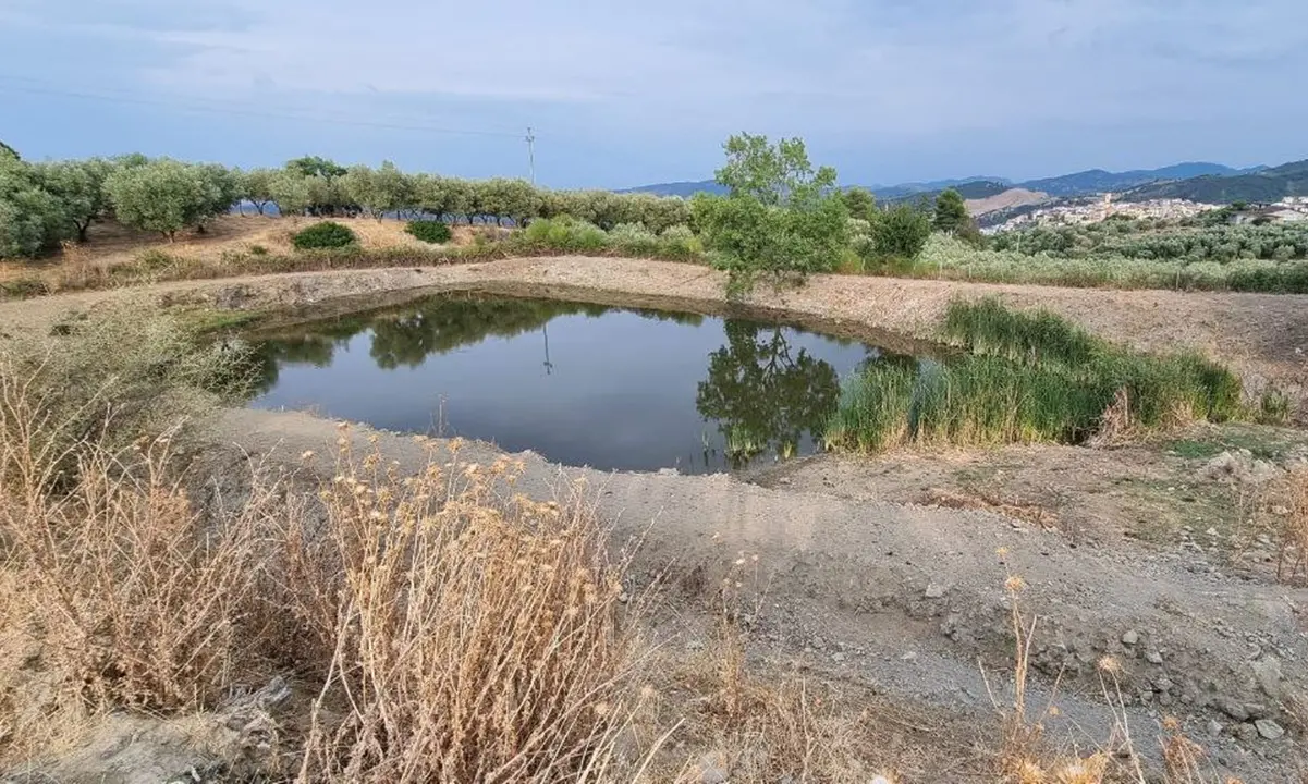 Sibaritide, è allarme siccità. La Coldiretti denuncia una situazione inquietante e chiede lo stato di calamità naturale
