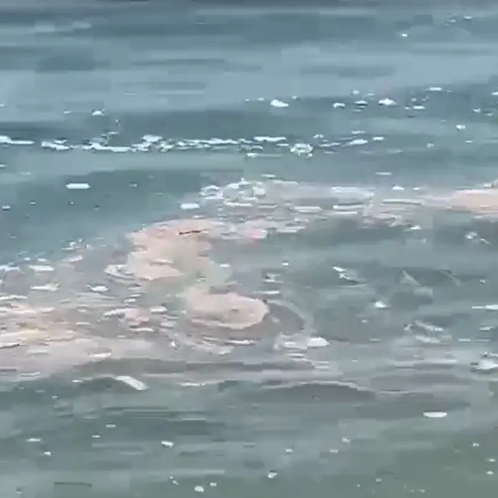 Mare sporco, Arpacal installa 100 campionatori su tutta la costa calabrese: «C'è tanto da fare»