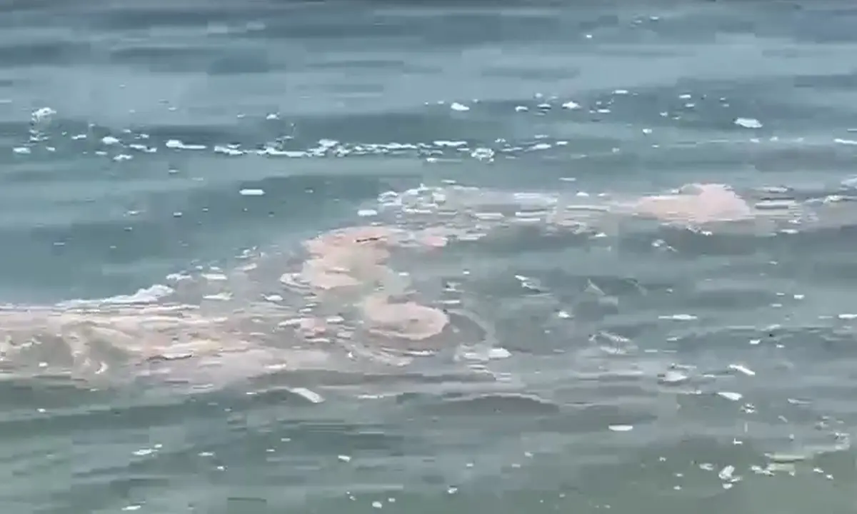Mare sporco, Arpacal installa 100 campionatori su tutta la costa calabrese: «C'è tanto da fare»