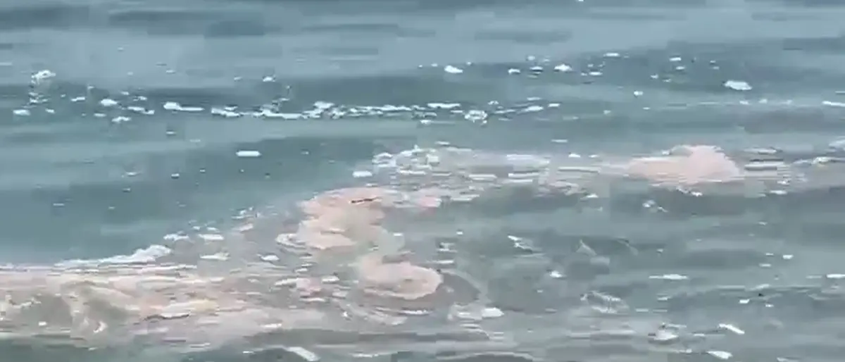 Mare sporco, Arpacal installa 100 campionatori su tutta la costa calabrese: «C'è tanto da fare»