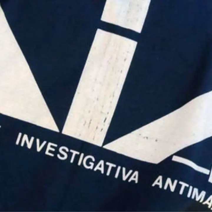 «Volevano aprire un \"locale\" di 'ndrangheta a Cosenza, ma i boss erano tutti in carcere»