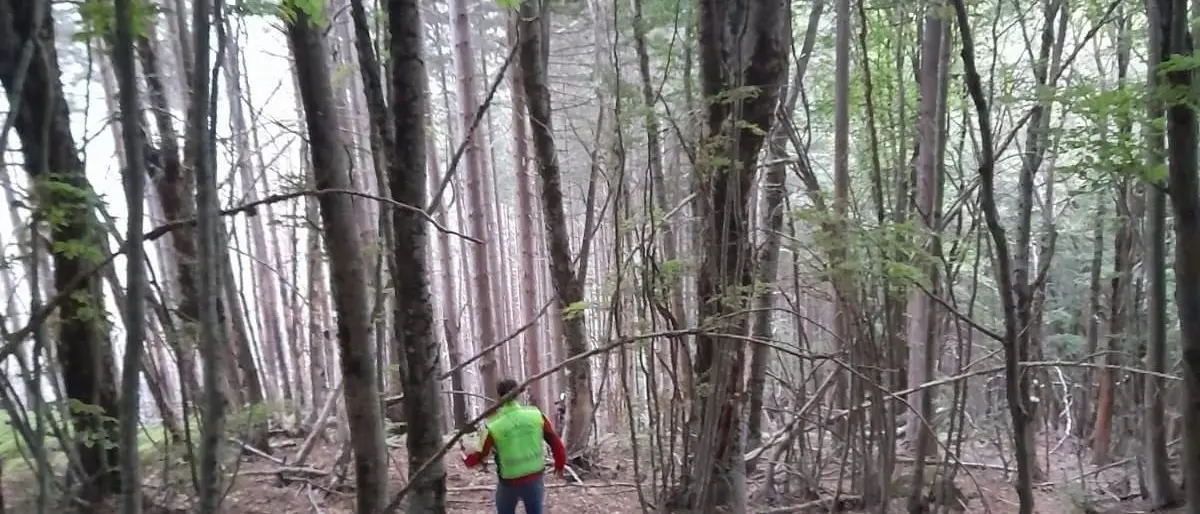Spezzano della Sila, portati in salvo tre fungaioli dispersi vicino a Monte Scuro