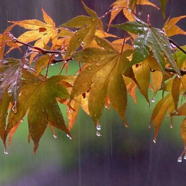 Meteo, in Calabria \"novembrata\" fino a giovedì, poi cambia tutto e arriva l'autunno