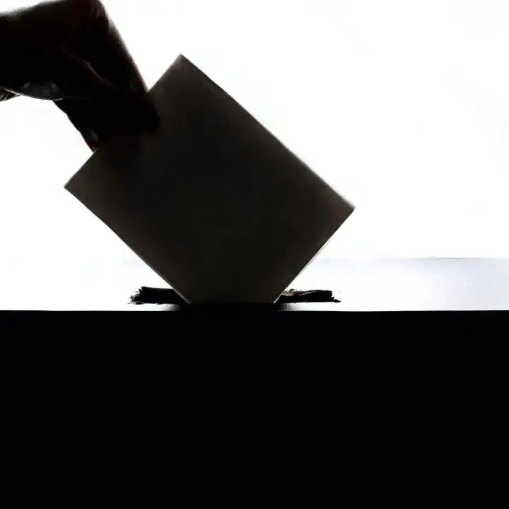 Elezioni politiche 2022, come si vota per i due rami del Parlamento