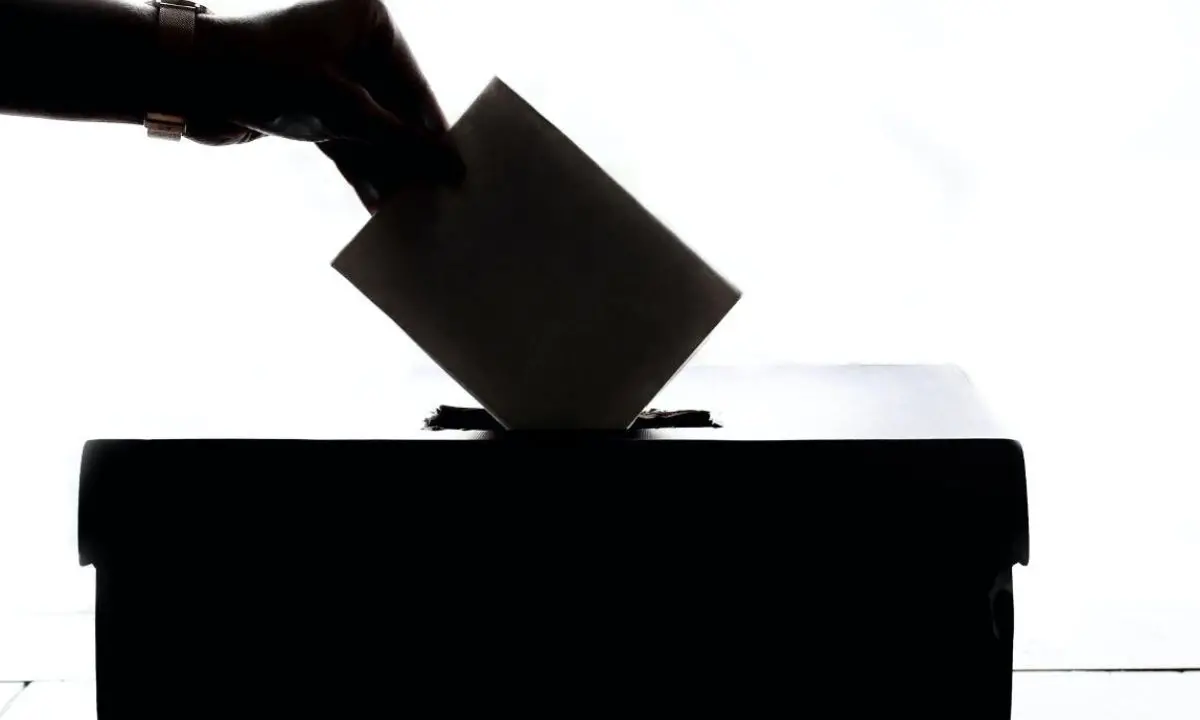 Elezioni politiche 2022, come si vota per i due rami del Parlamento