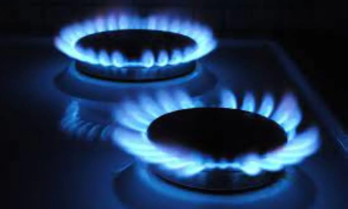 Bolletta del gas in calo a dicembre 2023: si registra -6,7% di consumi