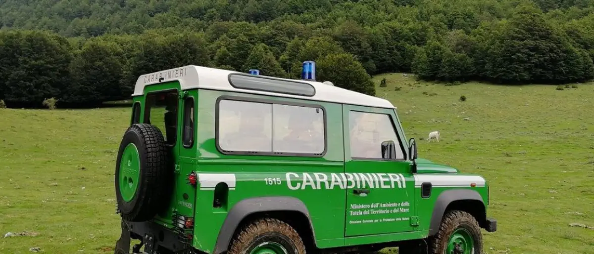 Mafia dei boschi, il carabiniere che indagava sugli Spadafora \"tradito\" dai colleghi