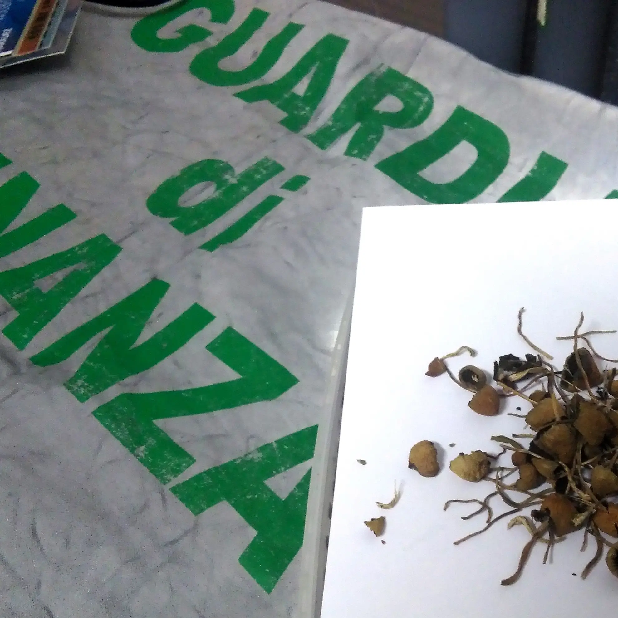 Sequestrato un chilo di funghi allucinogeni, denunciato un 23enne