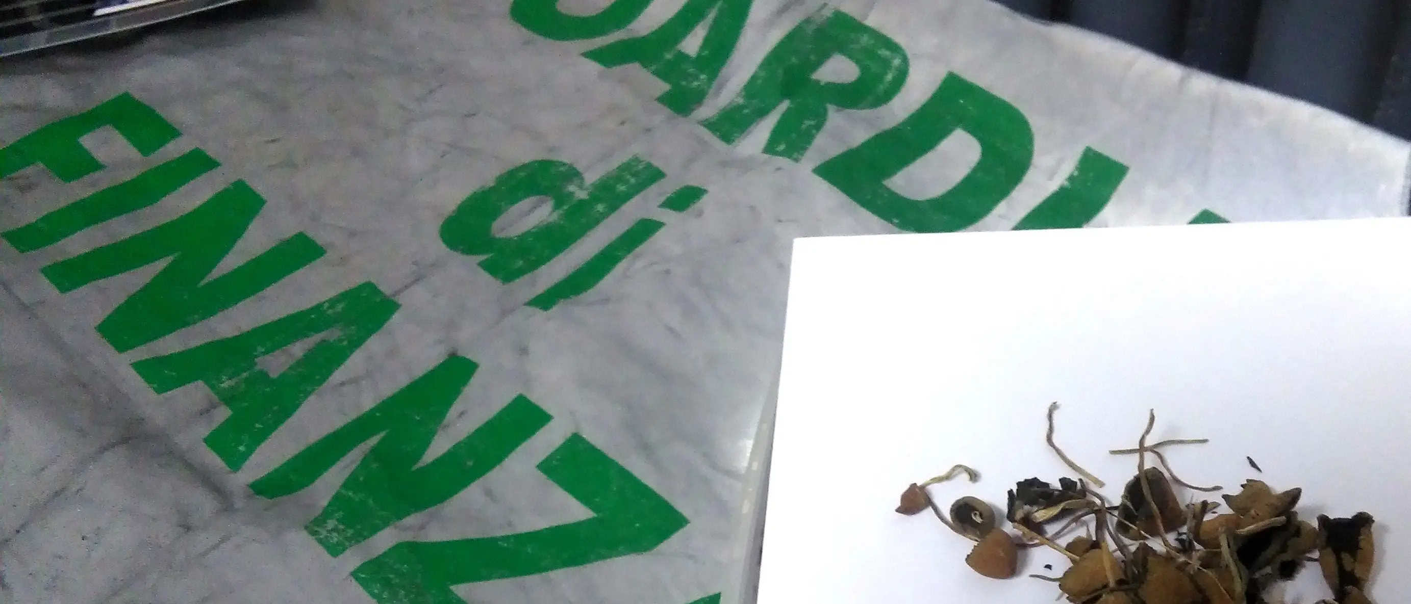 Sequestrato un chilo di funghi allucinogeni, denunciato un 23enne
