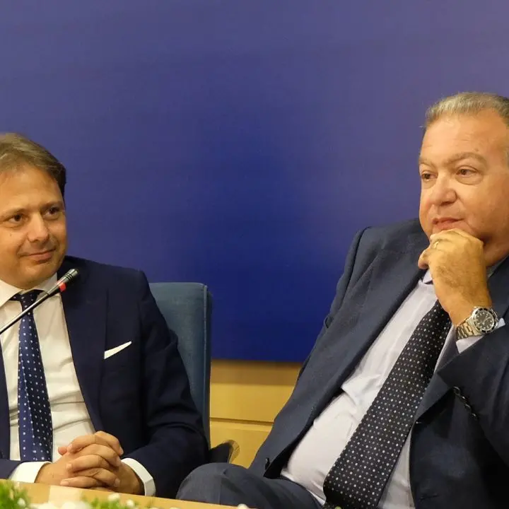 Confindustria Cosenza, ecco le strategie per contrastare la crisi d'impresa