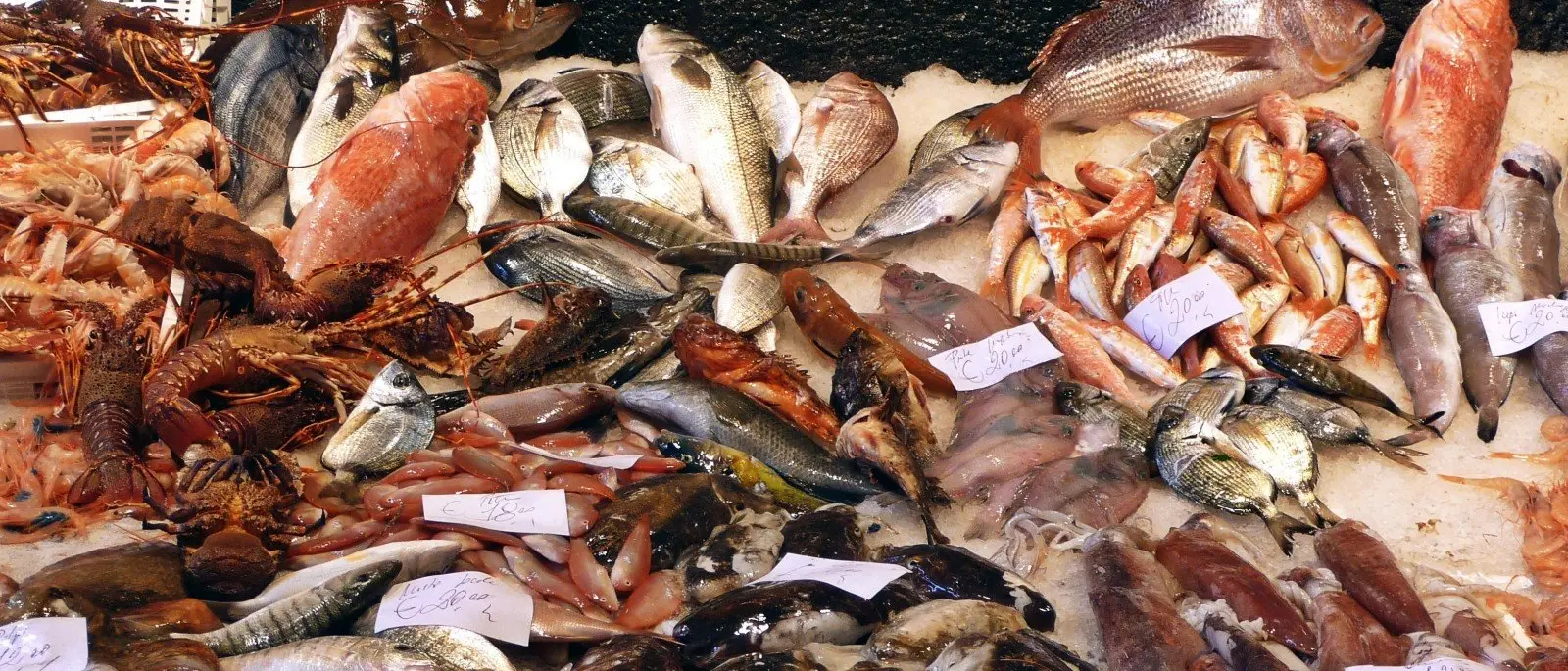 \"FRONTIERA\" | I pentiti: «Le pescherie di Cosenza devono rifornirsi dai Muto»