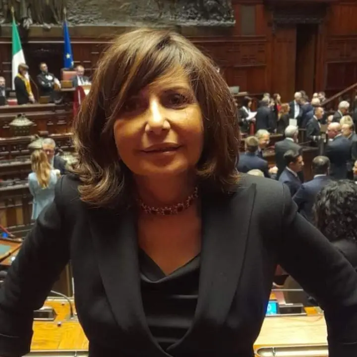 Loizzo: «Approviamo la legge regionale sulla città unica Cosenza-Rende»