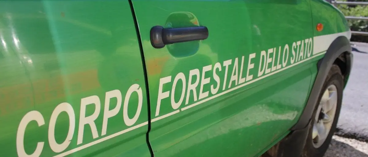 Corigliano-Rossano, tonnellate di fanghi industriali smaltite illecitamente: sequestrata un'azienda di laterizi