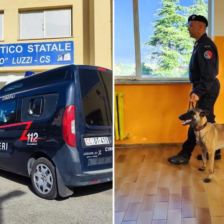 Luzzi, controlli dei Carabinieri in Liceo. Ispezioni anche nelle classi a caccia di droga