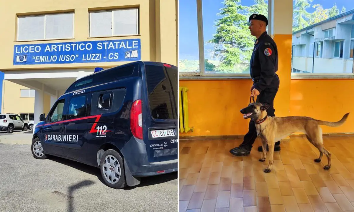 Luzzi, controlli dei Carabinieri in Liceo. Ispezioni anche nelle classi a caccia di droga