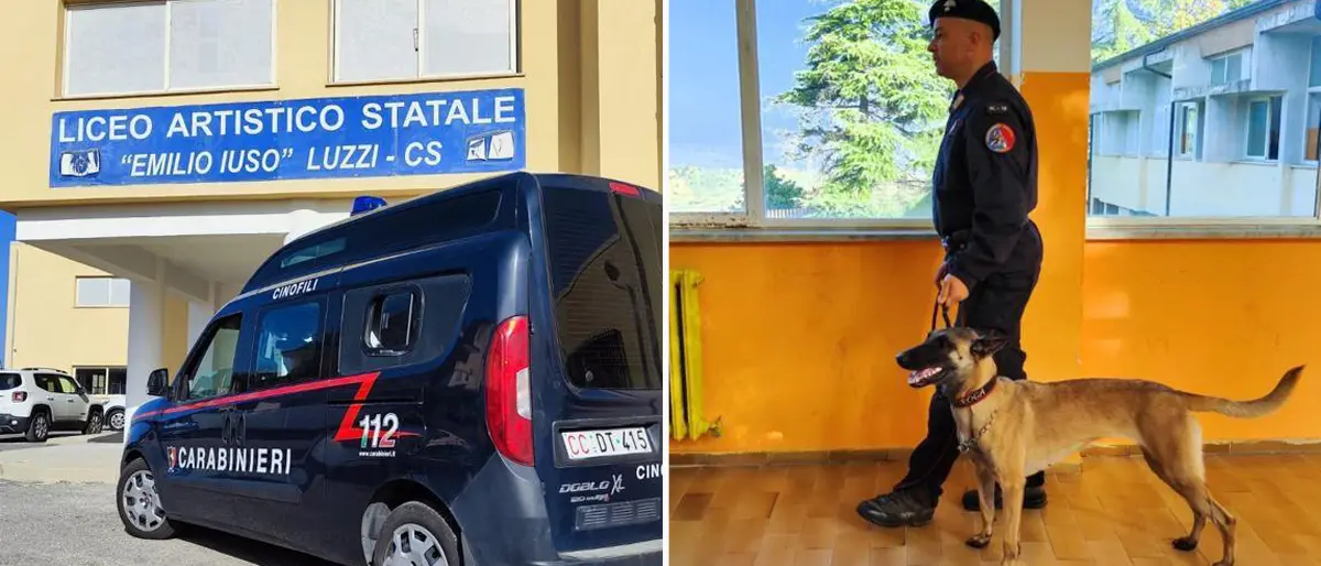 Luzzi, controlli dei Carabinieri in Liceo. Ispezioni anche nelle classi a caccia di droga