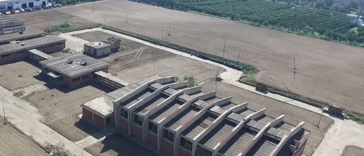 Palazzo dello sport di Insiti: il Tar annulla provvedimento di sgombero