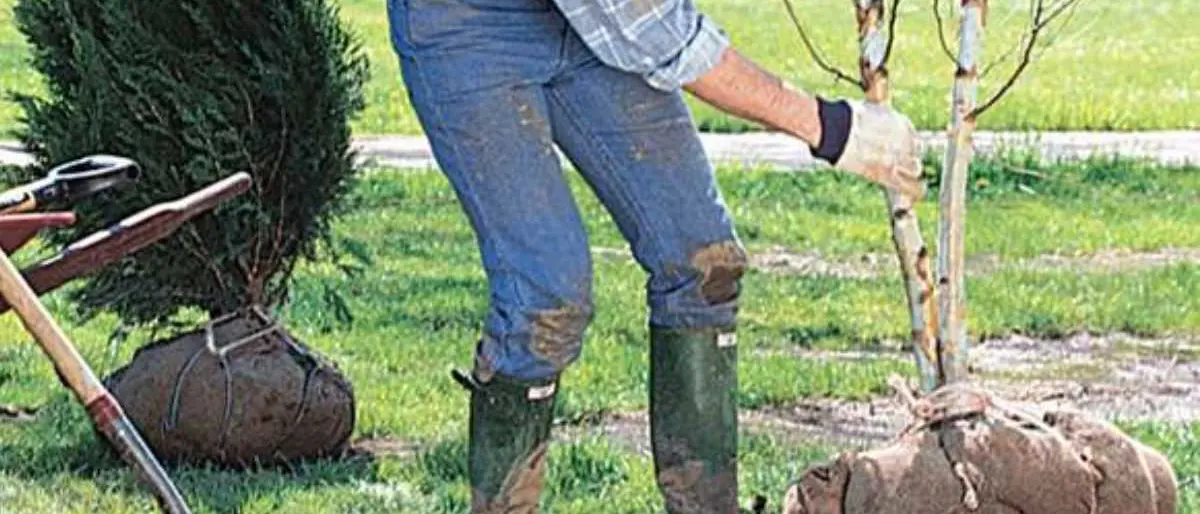 Cosenza celebra la giornata mondiale della Terra nel segno della sostenibilità