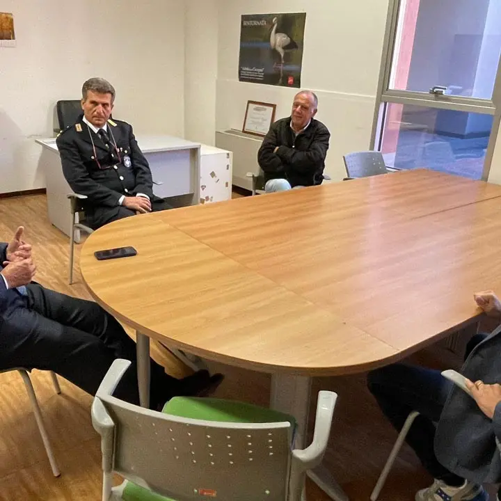 Trasporto unico, Ziccarelli incontra Unical e Consorzio Autolinee