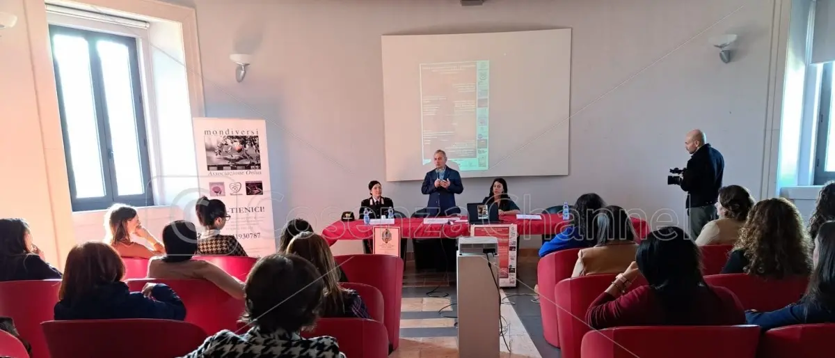 Violenza di genere, fenomeno in crescita tra le mura domestiche: i dati del centro Fabiana Luzzi | VIDEO