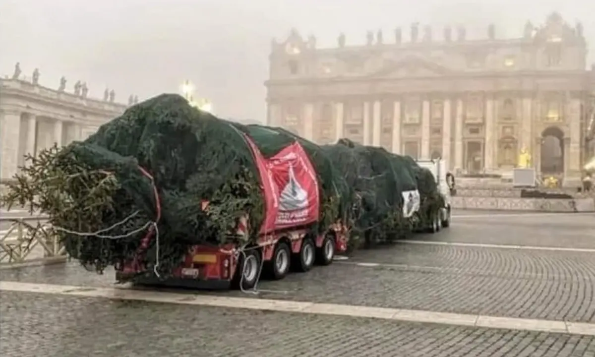 Giornata nazionale degli alberi, l'appello di 34 associazioni: «Vietarne il taglio per Natale»