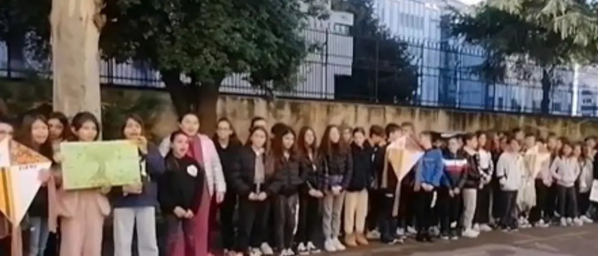 Cosenza, le scuole celebrano la Giornata nazionale dell'albero