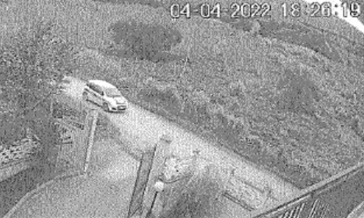Delitto Scorza-Hedli, non tutte le piste portano alla masseria