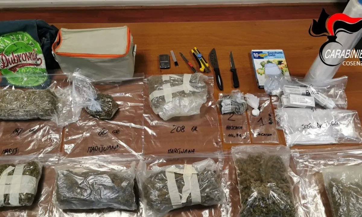 Corigliano Rossano, un chilo e mezzo di droga nascosto nella borsa frigo