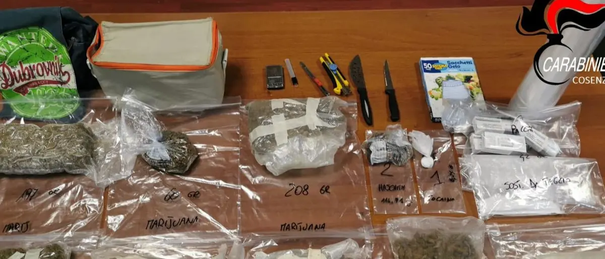 Corigliano Rossano, un chilo e mezzo di droga nascosto nella borsa frigo