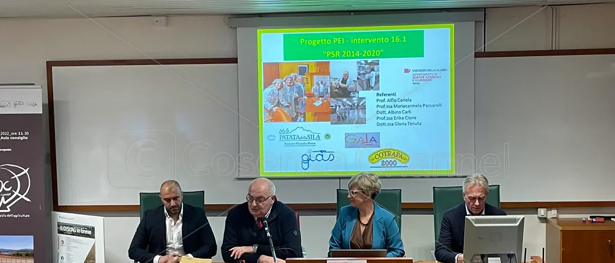 All'Unical il cibo rinasce... dal cibo: ecco la barretta vegana prodotta con gli scarti delle patate | VIDEO