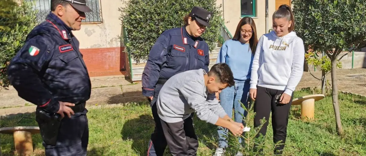 \"Festa dell'Albero\", protagonisti gli studenti del \"Montalcini\" di Spezzano Albanese