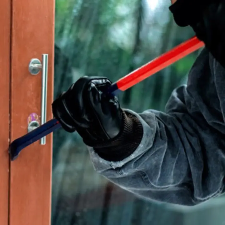 Ladri, gas aperto e gestione degli animali. Per i calabresi la vacanza è più paura che relax