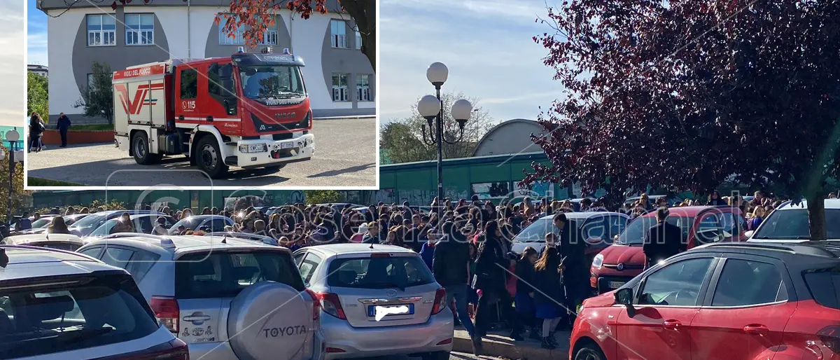 Scuola \"Stancati\" di Rende, la preside: «Problema risolto, giustificata l'assenza del 7 dicembre»