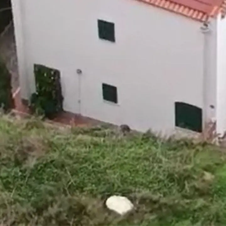 San Lucido, il costone della ferrovia frana e insidia le case sul lungomare | VIDEO