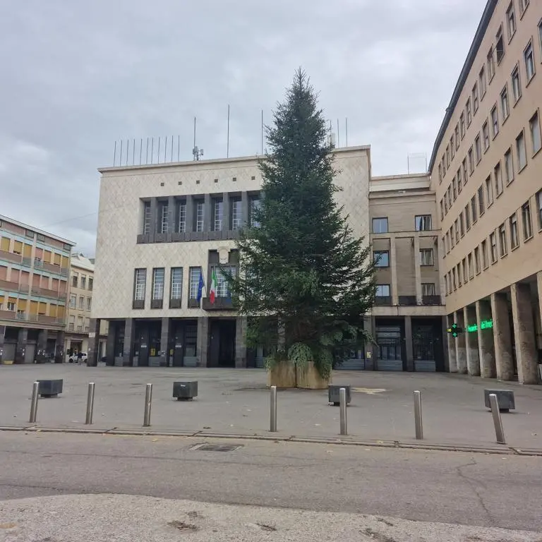 Tutto pronto per l’accensione dell’albero a Cosenza aspettando i soldi (promessi) per Capodanno