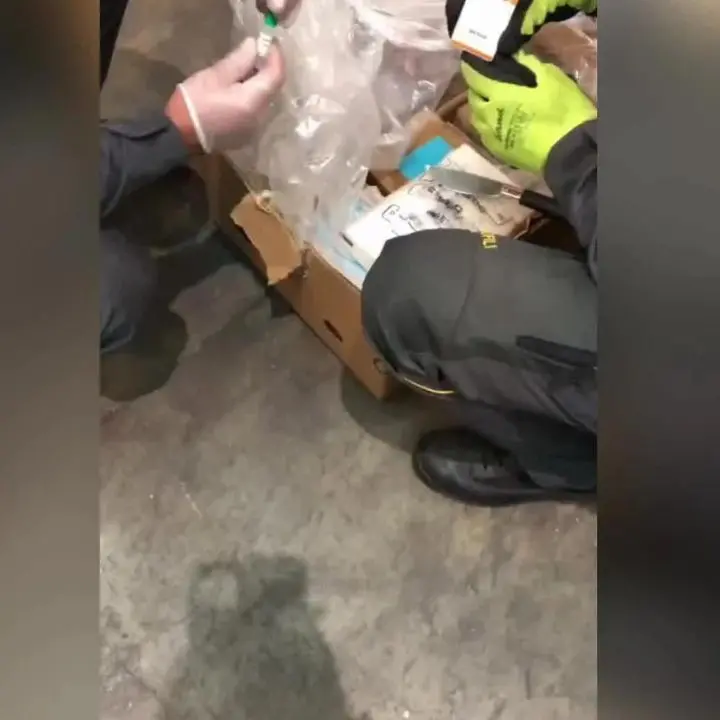 Maxi-sequestro di cocaina: 72 chili nascosti in un carico di banane | VIDEO