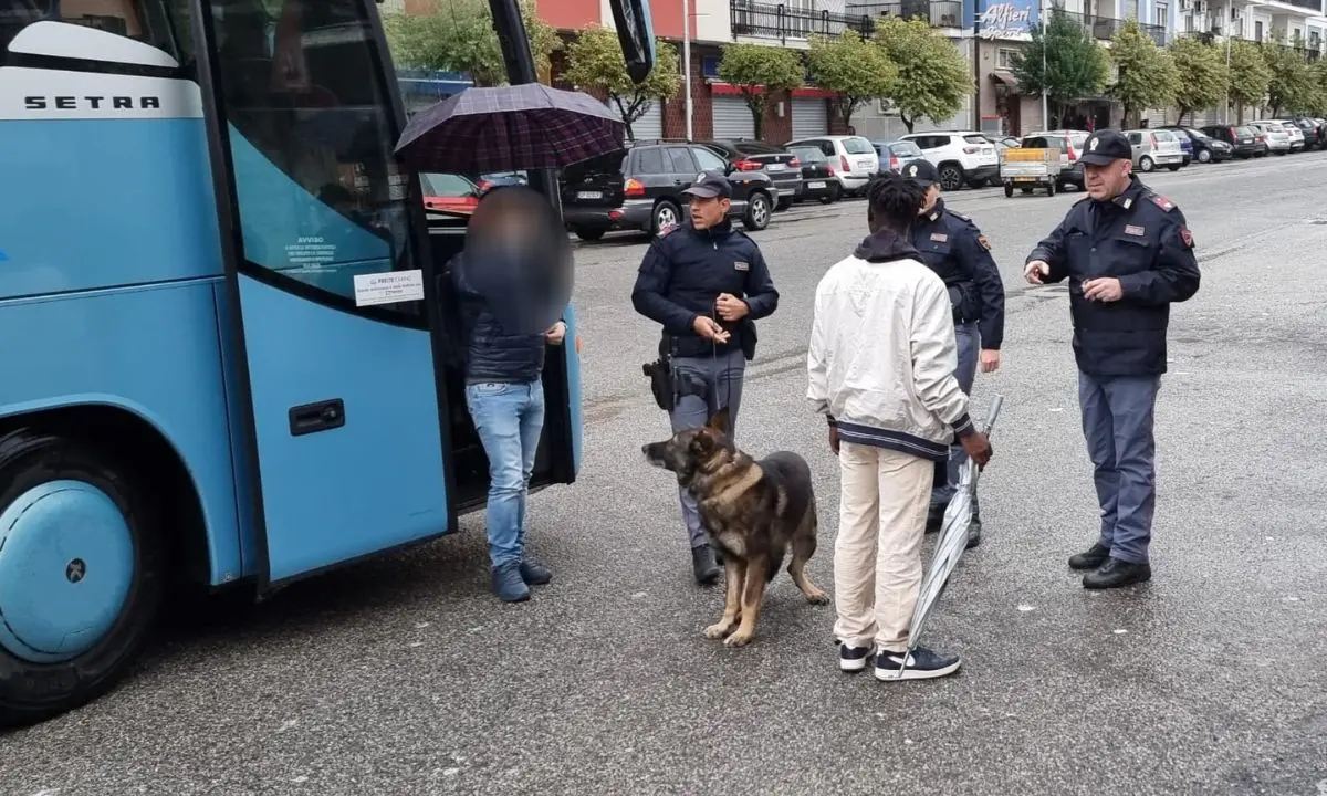 Cosenza, perquisizioni e controlli antidroga in piazza Autolinee