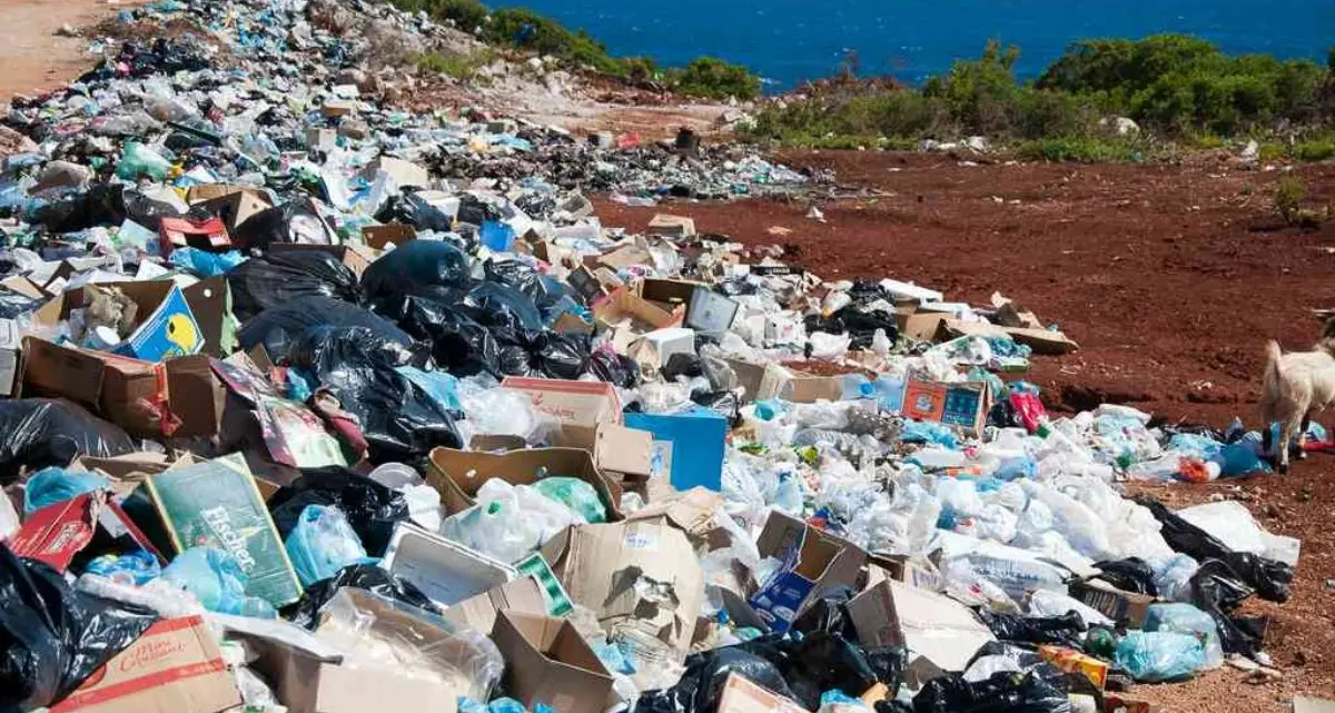 Ecomafie 2025, allarme reati ambientali in provincia di Cosenza. Il Pd: «Saldatura pericolosa tra criminalità e illegalità ecologica»