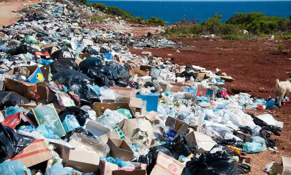 Ecomafie 2025, allarme reati ambientali in provincia di Cosenza. Il Pd: «Saldatura pericolosa tra criminalità e illegalità ecologica»