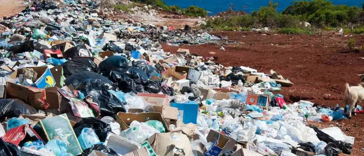 Ecomafie 2025, allarme reati ambientali in provincia di Cosenza. Il Pd: «Saldatura pericolosa tra criminalità e illegalità ecologica»