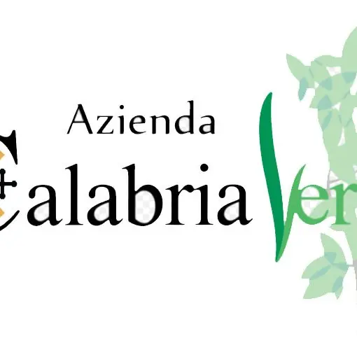 Ciclone giudiziario su \"Calabria Verde\", i nomi dei 5 arrestati. Distratti 80milioni di euro