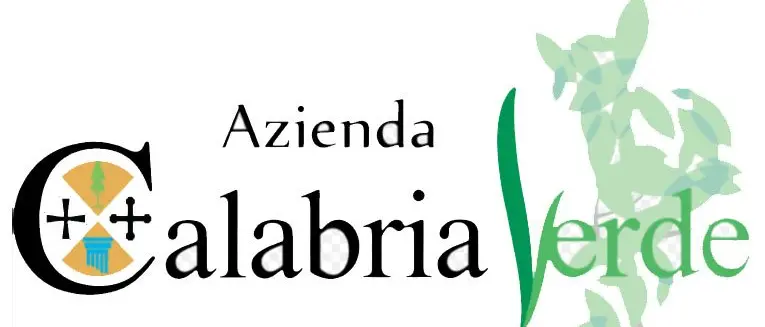 Ciclone giudiziario su \"Calabria Verde\", i nomi dei 5 arrestati. Distratti 80milioni di euro