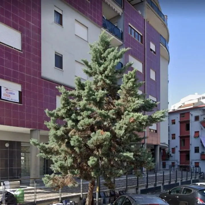 Cosenza, i palazzi di via Molicella si rifanno il trucco