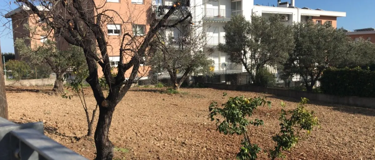 Trebisacce, il Comune concede un terreno all'Istituto Filangieri per le attività didattiche