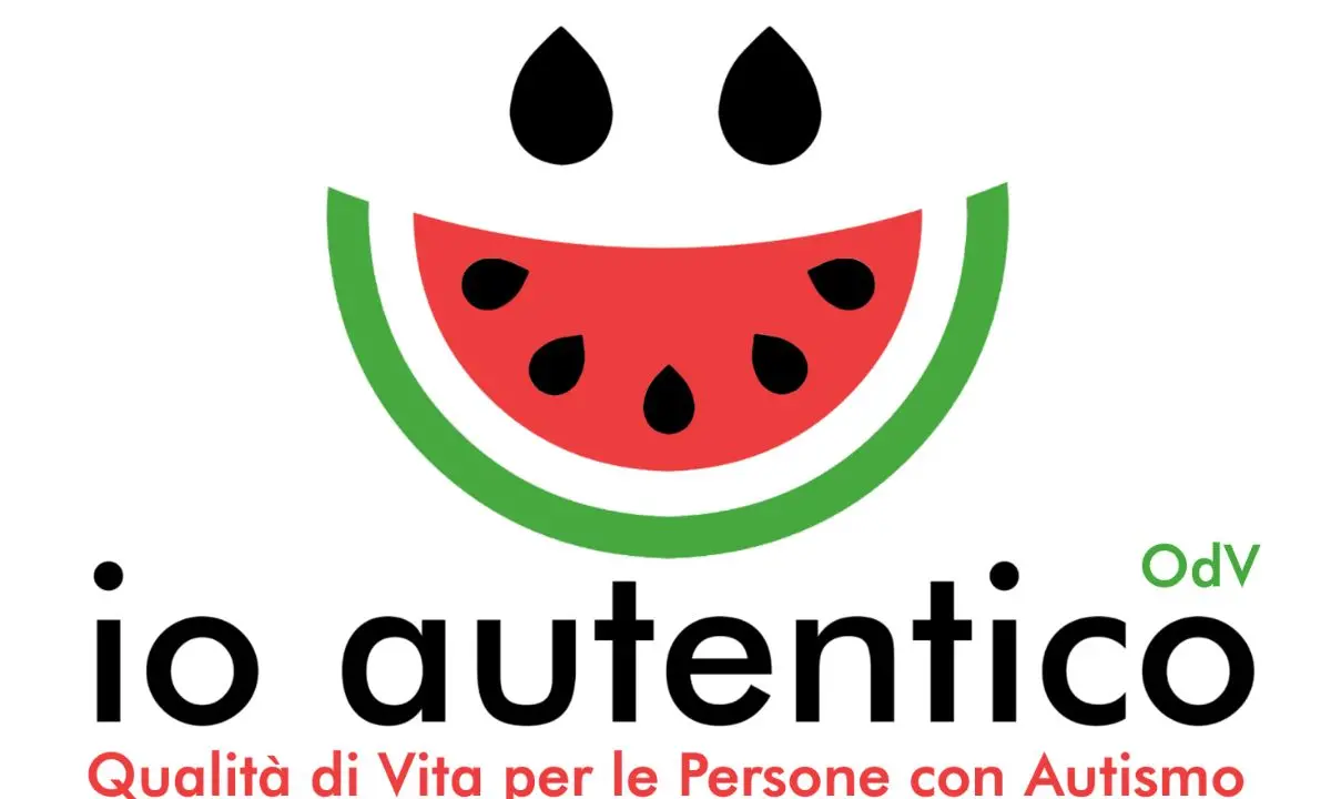Cosenza, un corso per spiegare ai Comuni come si tratta l'autismo