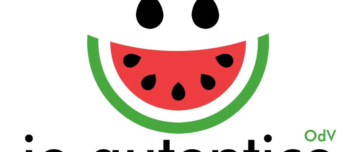 Cosenza, un corso per spiegare ai Comuni come si tratta l'autismo