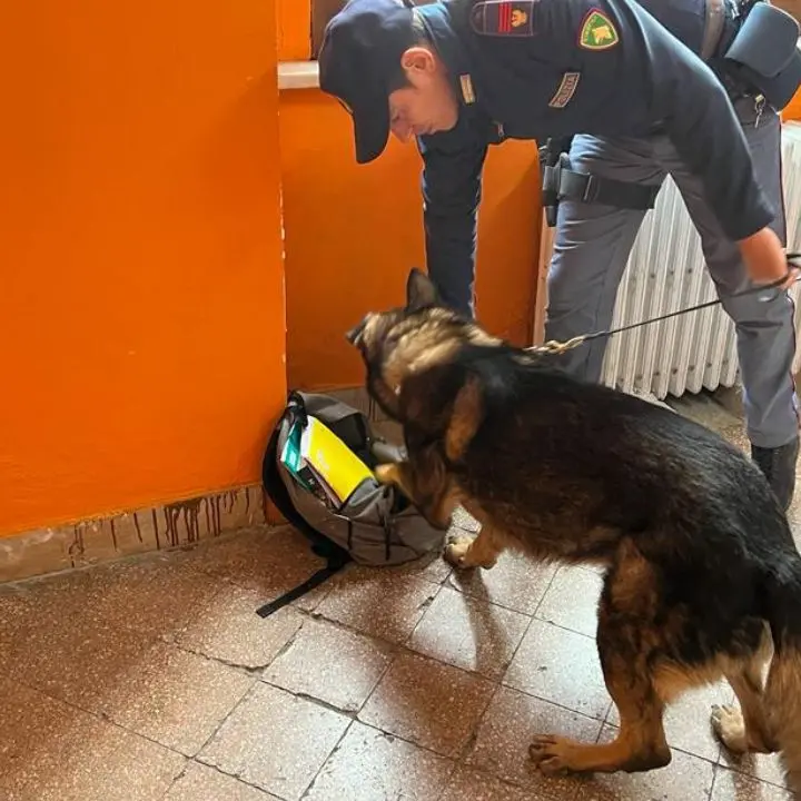 Cosenza, cani antidroga nelle scuole e controlli nelle piazze di spaccio