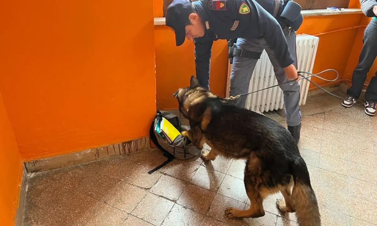 Cosenza, cani antidroga nelle scuole e controlli nelle piazze di spaccio